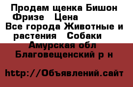 Продам щенка Бишон Фризе › Цена ­ 30 000 - Все города Животные и растения » Собаки   . Амурская обл.,Благовещенский р-н